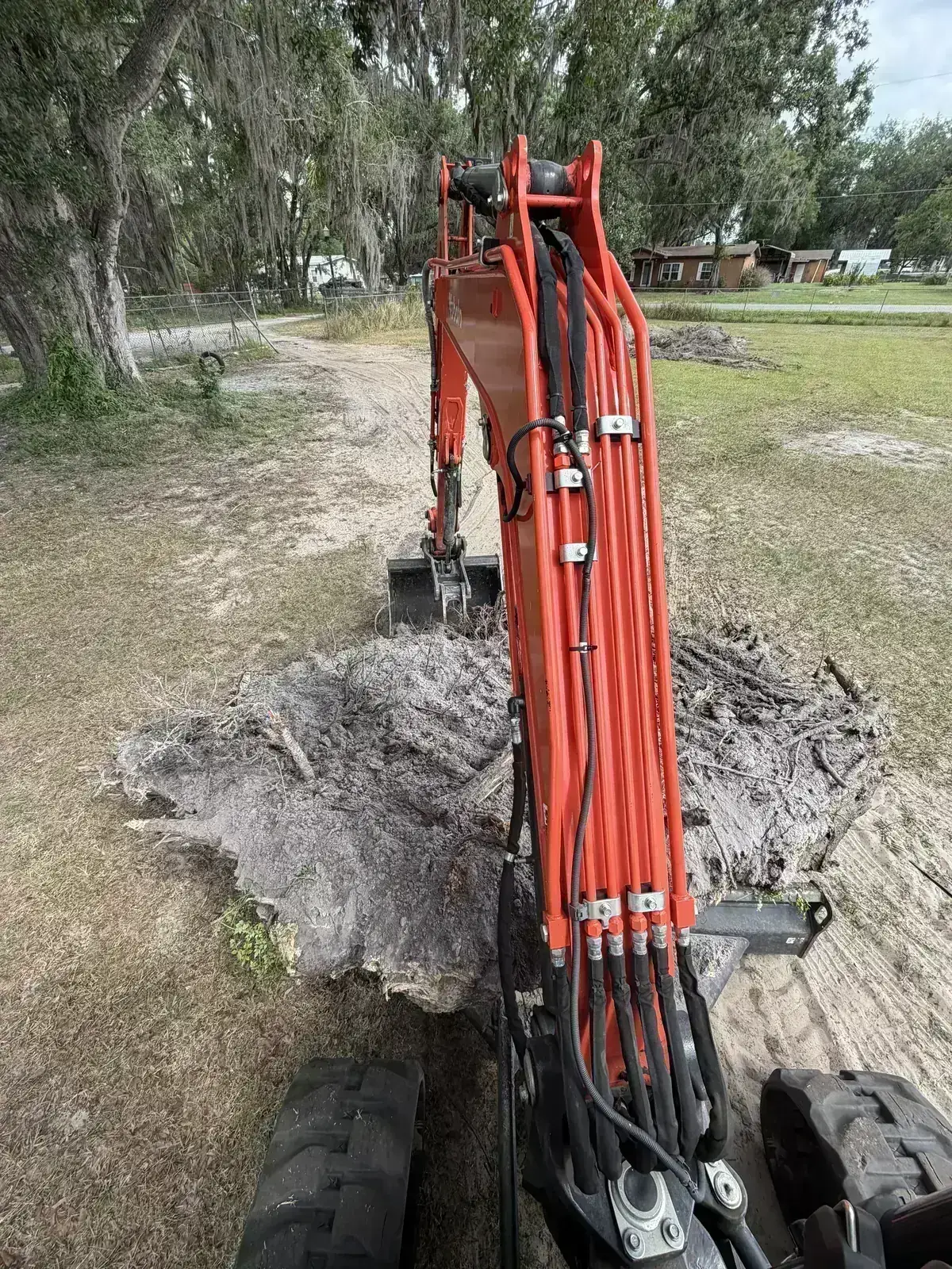 Compact equipment working through overgrown yard cleanup