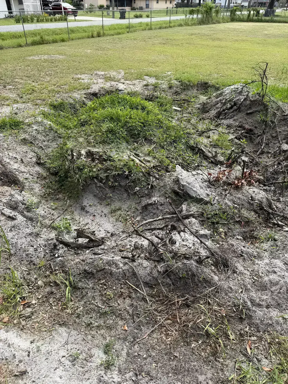 Overgrown yard area before Faith Works brush clearing and cleanup begins