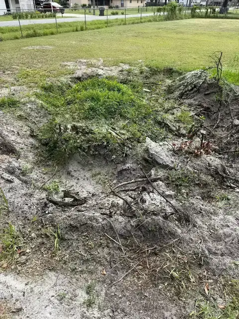 Overgrown yard area before Faith Works brush clearing and cleanup begins