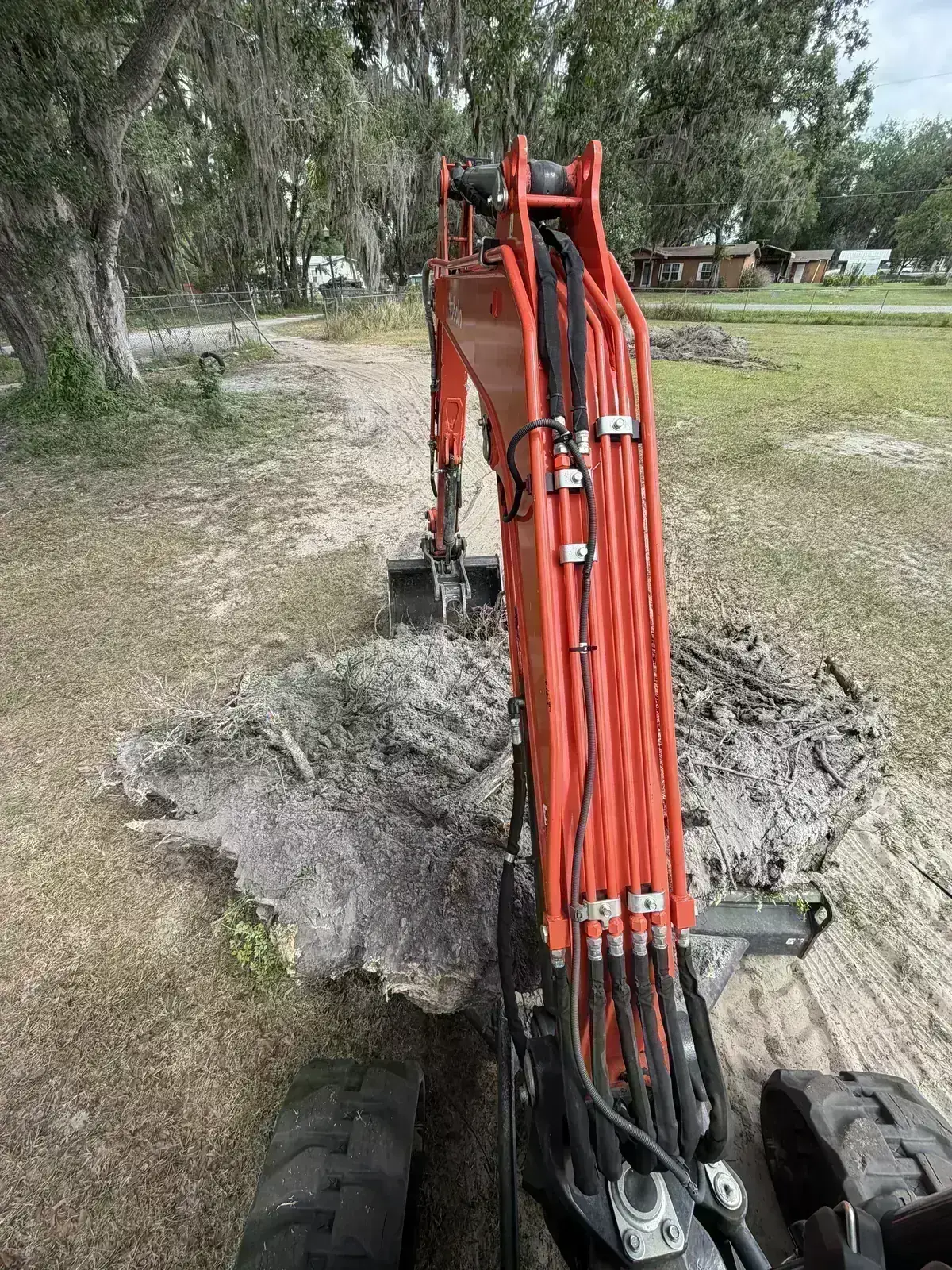Compact equipment working through overgrown yard cleanup