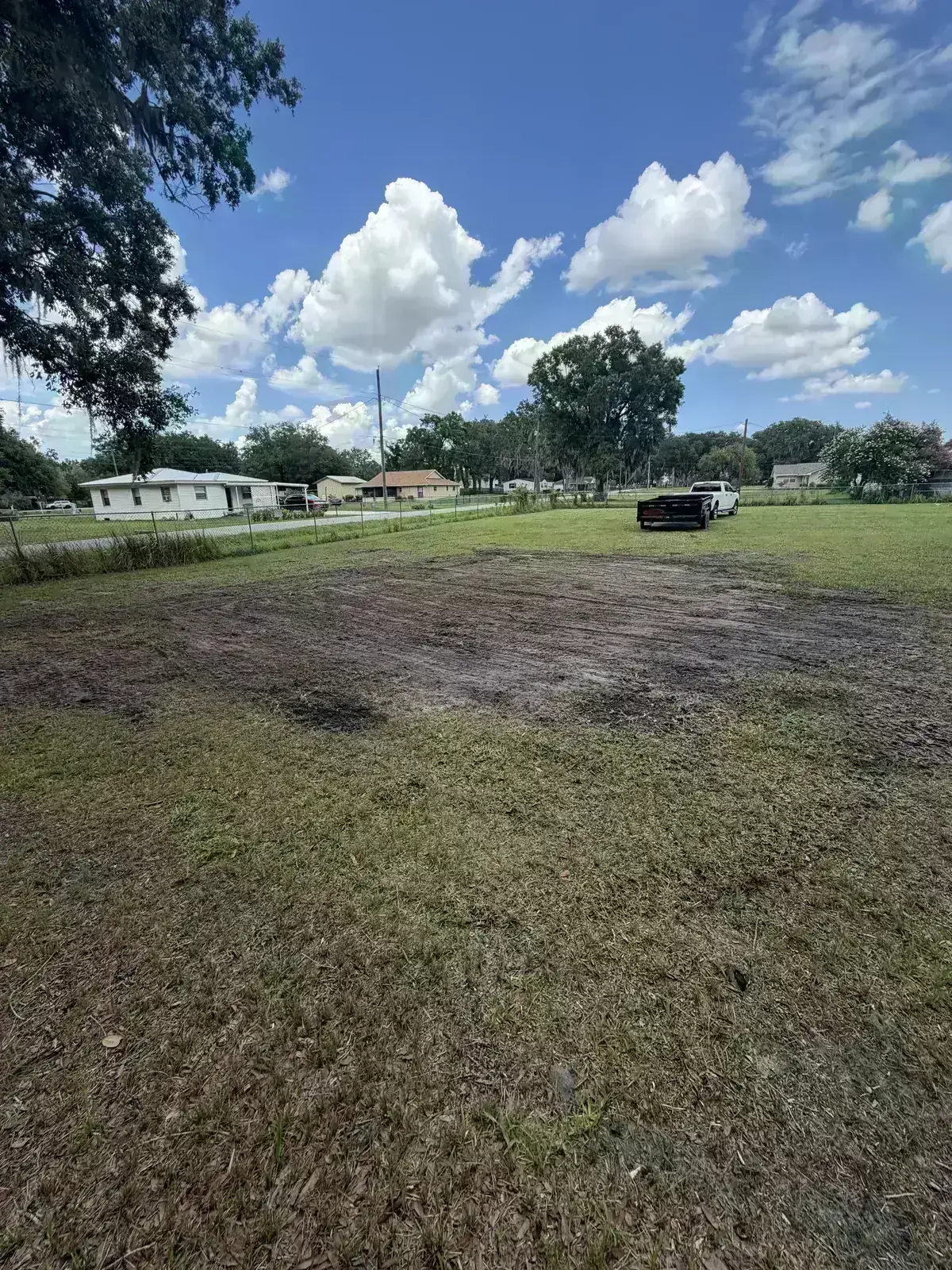 Completed overgrowth removal with cleared ground and debris ready for haul-off